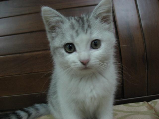 [Avatar]