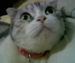 [Avatar]