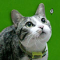 [Avatar]