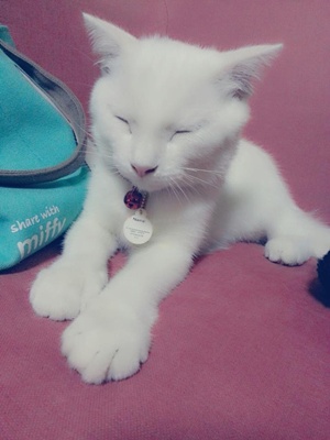 [Avatar]