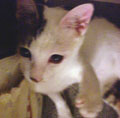 [Avatar]