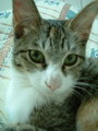 [Avatar]