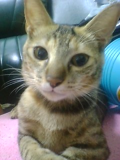 [Avatar]
