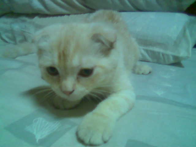 [Avatar]