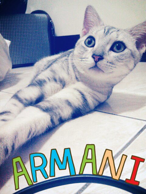 [Avatar]
