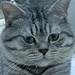 [Avatar]