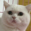 [Avatar]