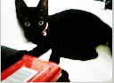 [Avatar]