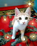 [Avatar]