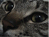 [Avatar]