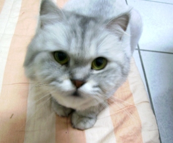 [Avatar]