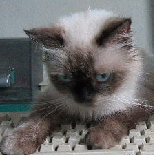 [Avatar]