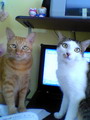 [Avatar]