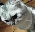 [Avatar]