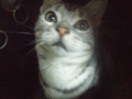 [Avatar]