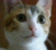 [Avatar]