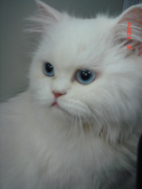 [Avatar]