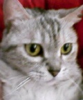 [Avatar]
