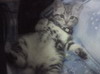 [Avatar]