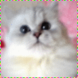 [Avatar]