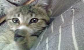 [Avatar]