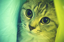 [Avatar]