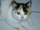 [Avatar]