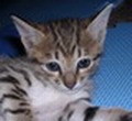 [Avatar]
