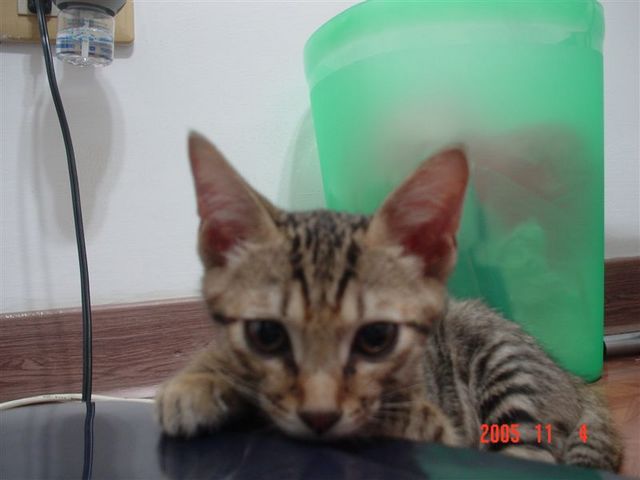 [Avatar]