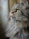 [Avatar]