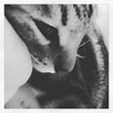 [Avatar]