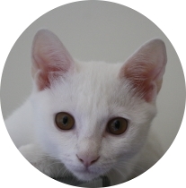 [Avatar]