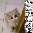 [Avatar]