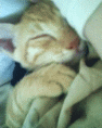 [Avatar]