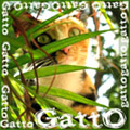 [Avatar]