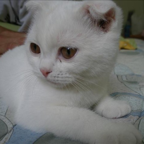 [Avatar]