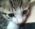 [Avatar]