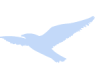 [Avatar]