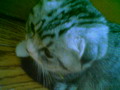[Avatar]