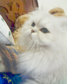 [Avatar]