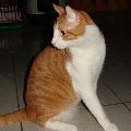 [Avatar]