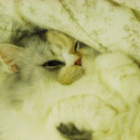 [Avatar]