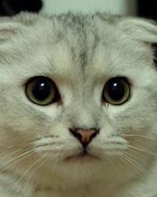 [Avatar]