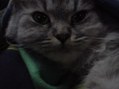 [Avatar]