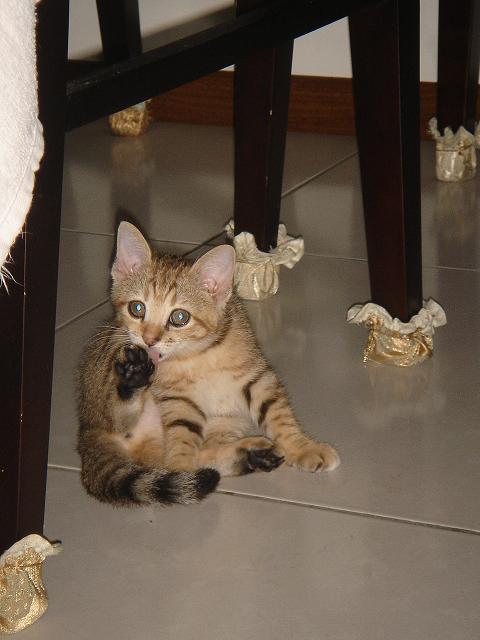 [Avatar]