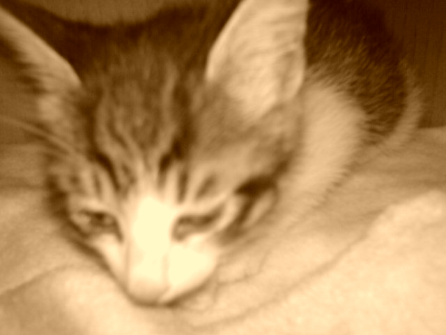 [Avatar]