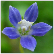 [Avatar]