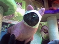 [Avatar]