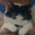 [Avatar]
