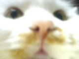 [Avatar]